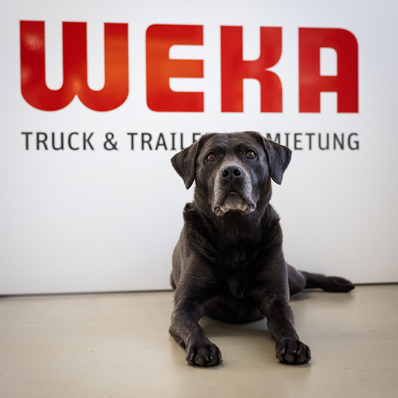 Die gute Laune Königin der WEKA Rental Fahrzeugvermietung Flora