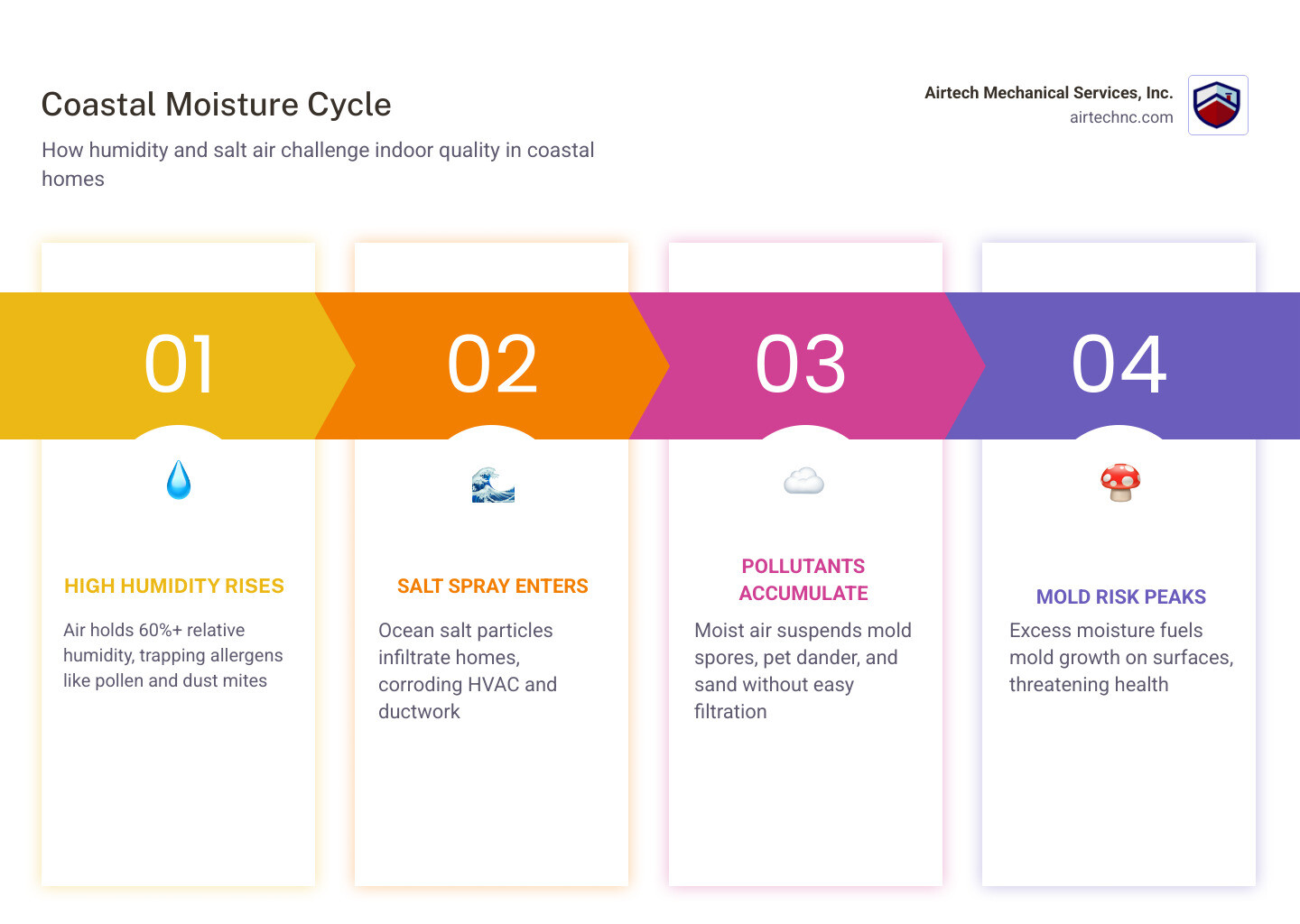 infographic showing coastal home moisture cycle and air purification layers for humid environments - air purification
