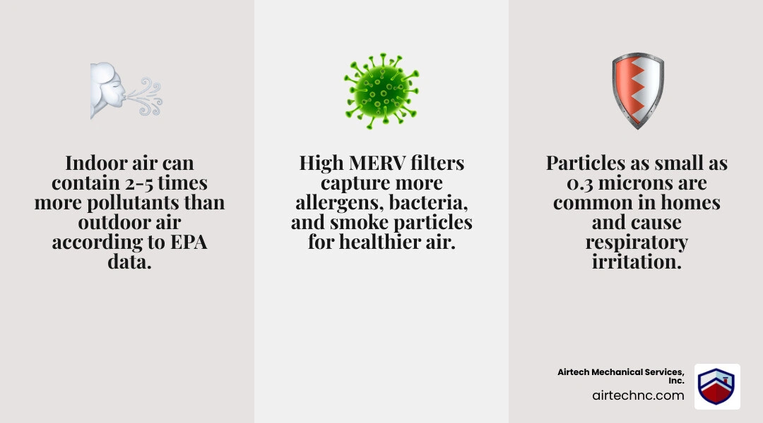 Infographic showing indoor allergen types, particle sizes, and matching filter ratings for home air quality infographic