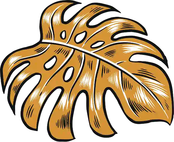 Illustration of an orange monstera leaf with black and white shading details on a transparent background.