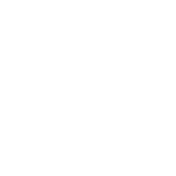 Social Icon