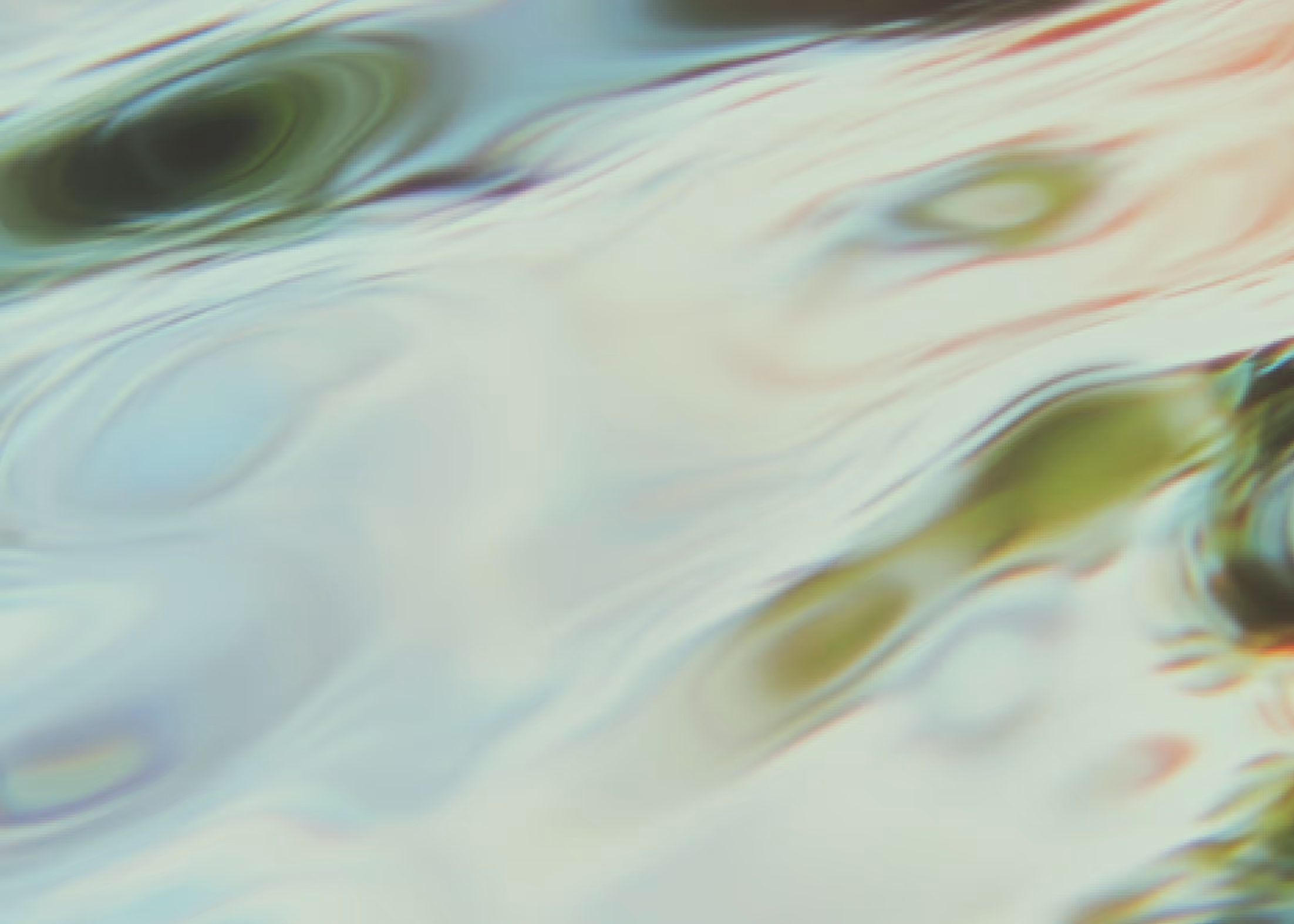 Finance Webflow Template - Annecy- Designed by Azwedo.com and Wedoflow.com