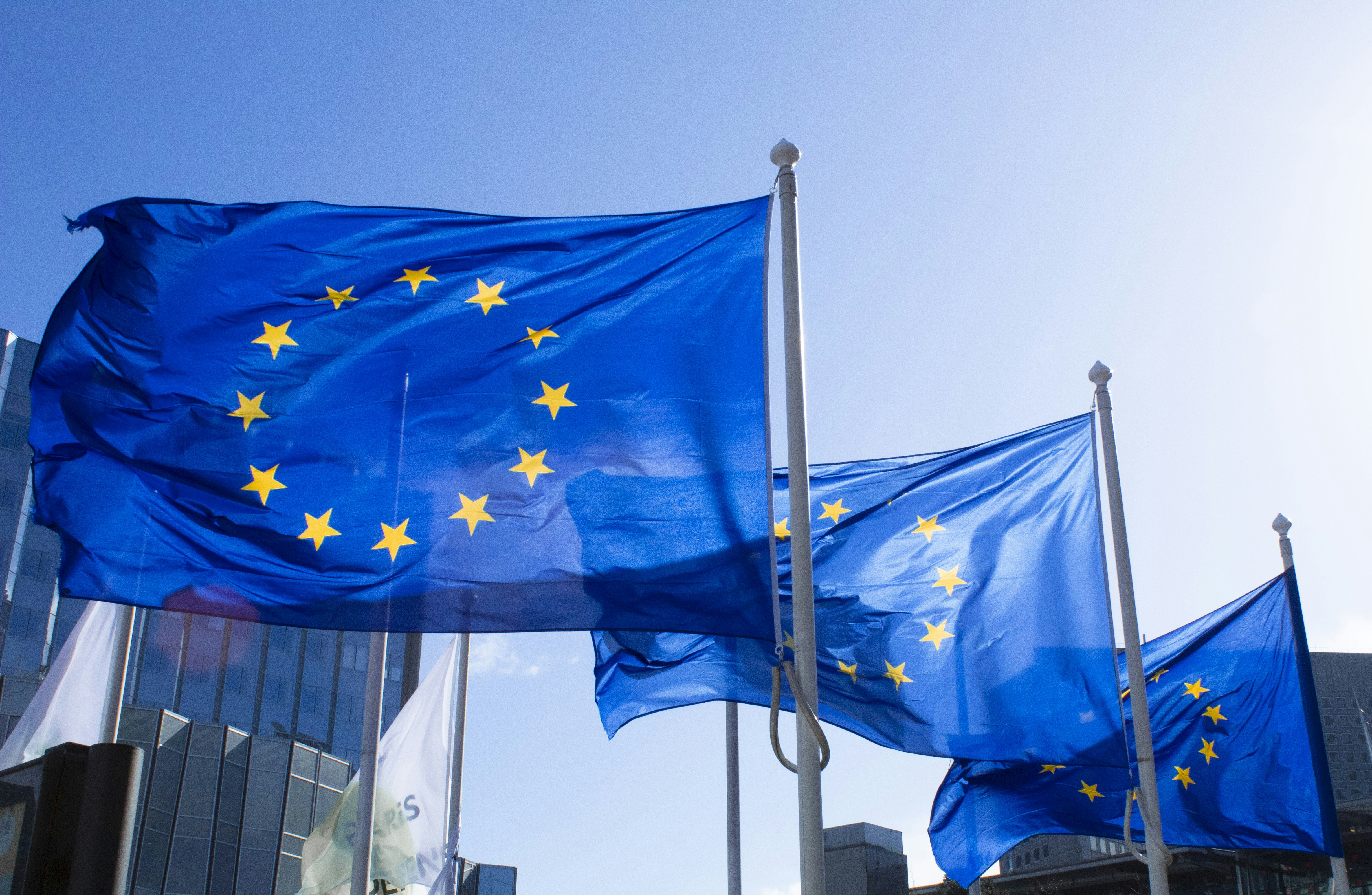EU Market Entry via B2B E-Commerce