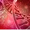 A close-up view of a DNA double helix, depicted in vibrant red hues against a blurred background with light particles, representing genetic research or molecular biology.