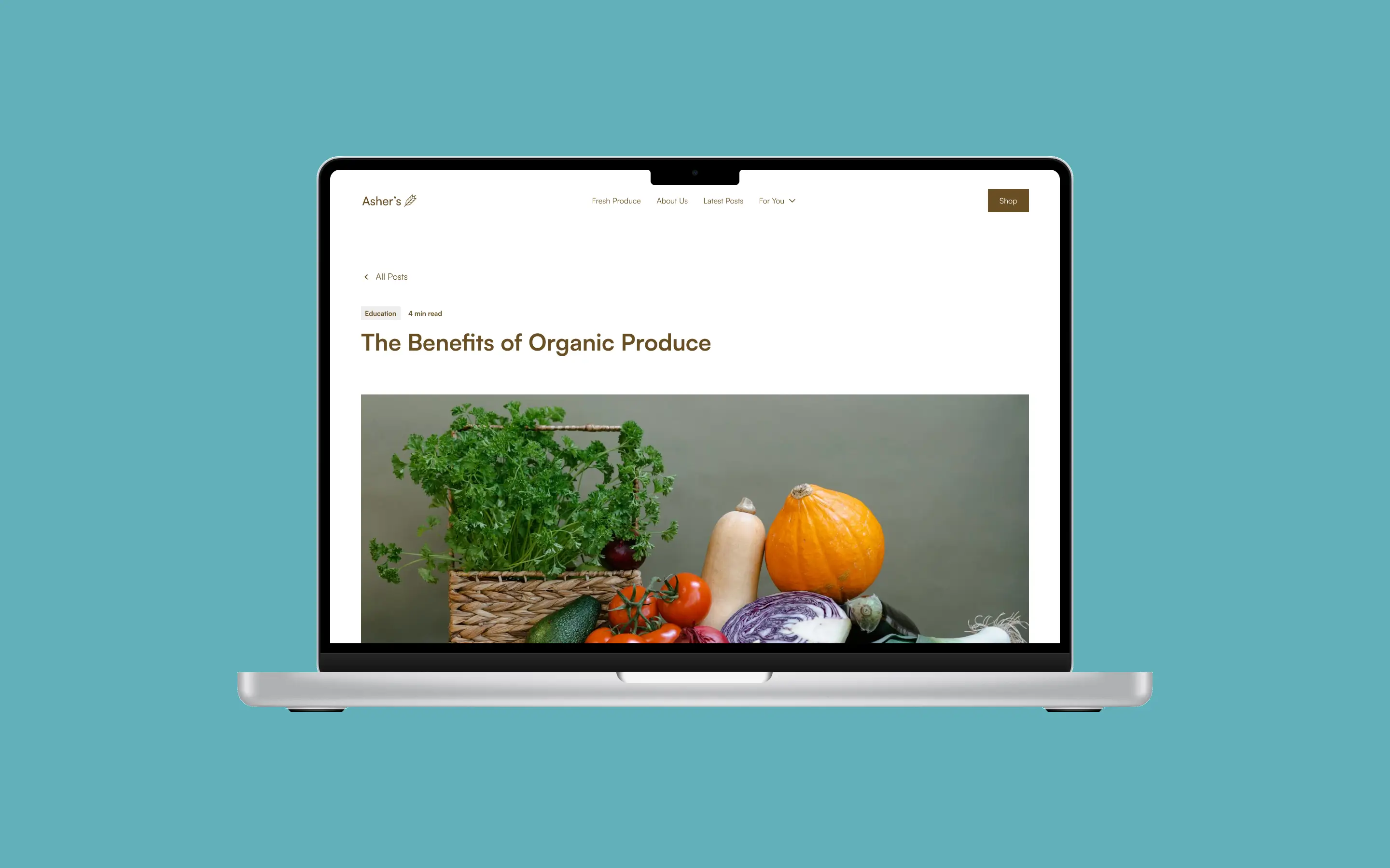 Showcase for Asher's Harvest