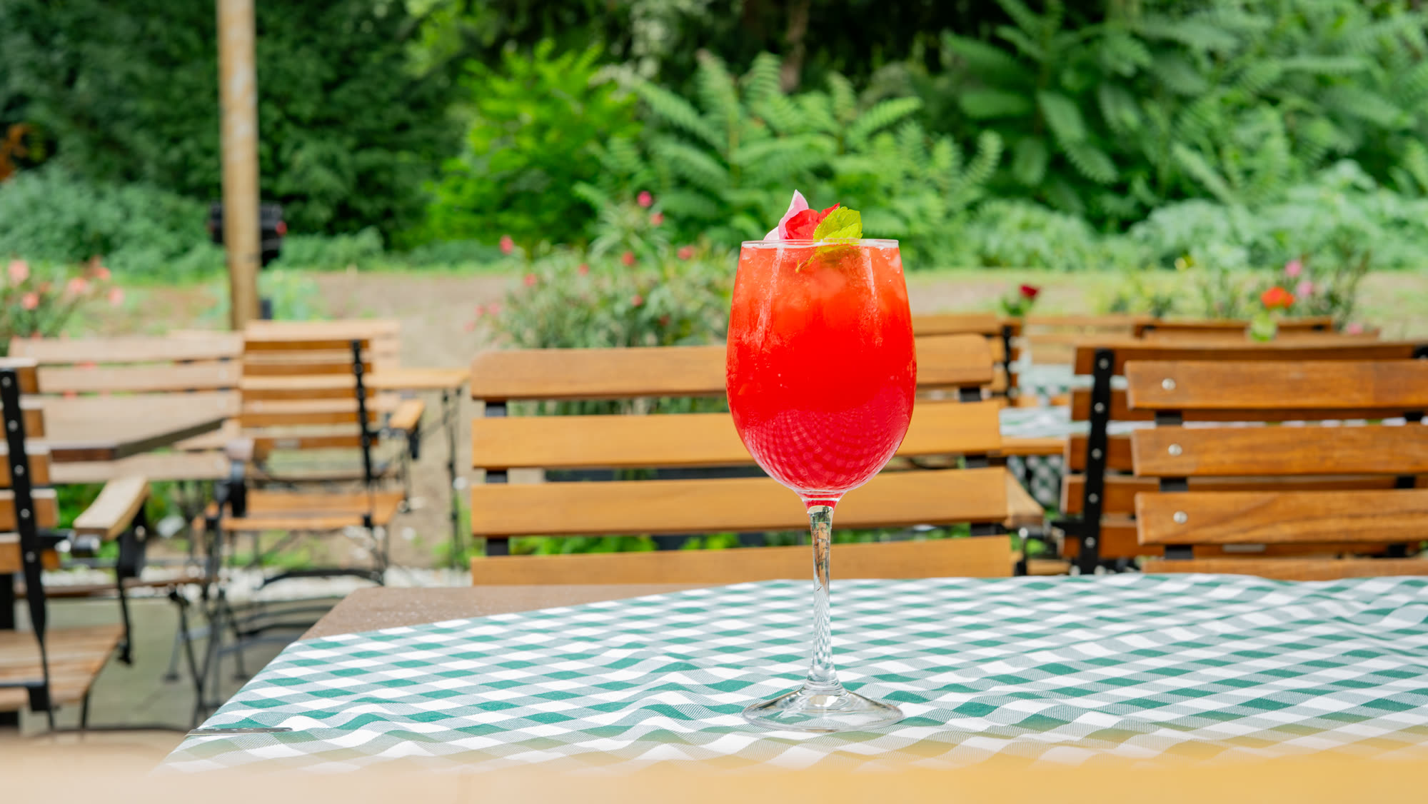 Levantine Blush on the terrace