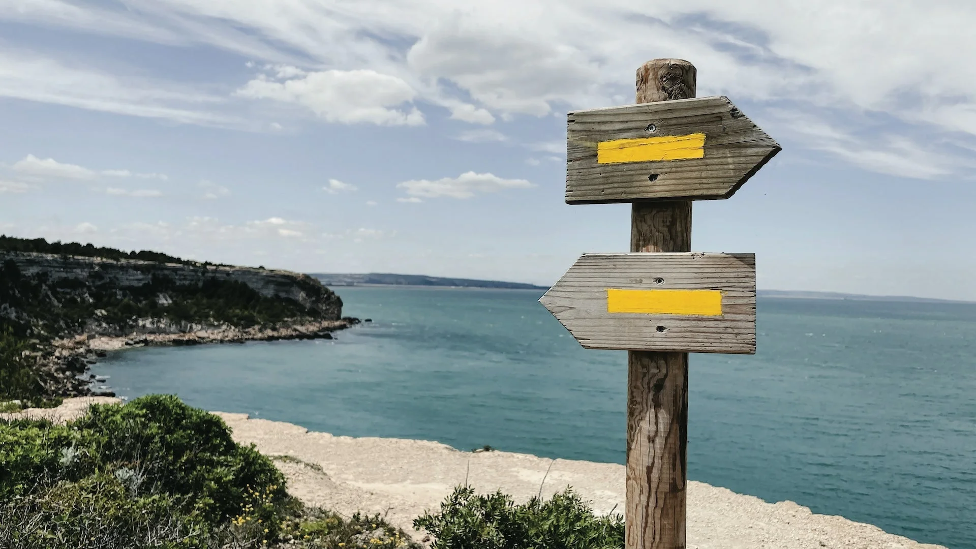 Dropshipping vs. Affiliate Marketing: Which Business Is Better?