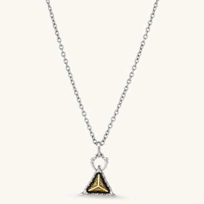 Silver cable-chain necklace with a black triangle pendant featuring gold all-seeing eye engraving and claw-tip frame, 316L stainless steel.