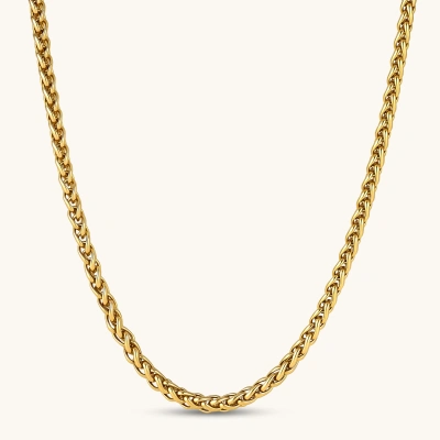 18K gold-plated stainless steel wheat chain necklace, 4.2mm wide, with lobster clasp, on off-white background.
