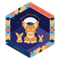 Capella-12 Mission Patch