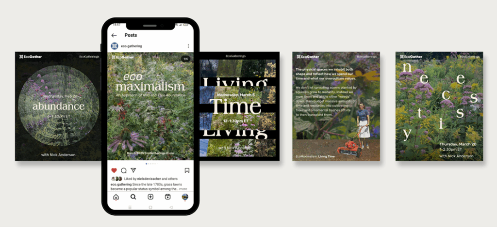 beauty and regenerative marketing