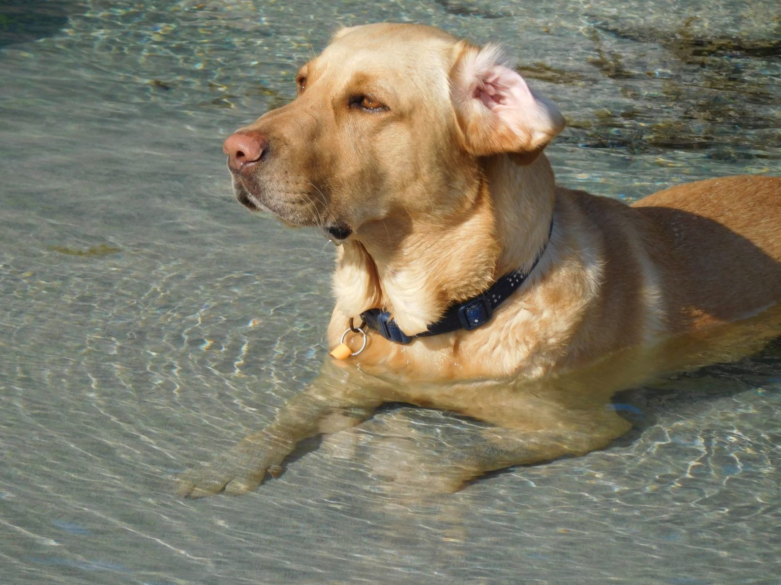 Photo of Sammy — hill walk in the mountains