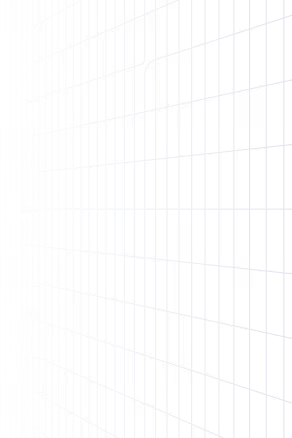 White grid lines on black background forming a perspective grid plane extending into the distance.