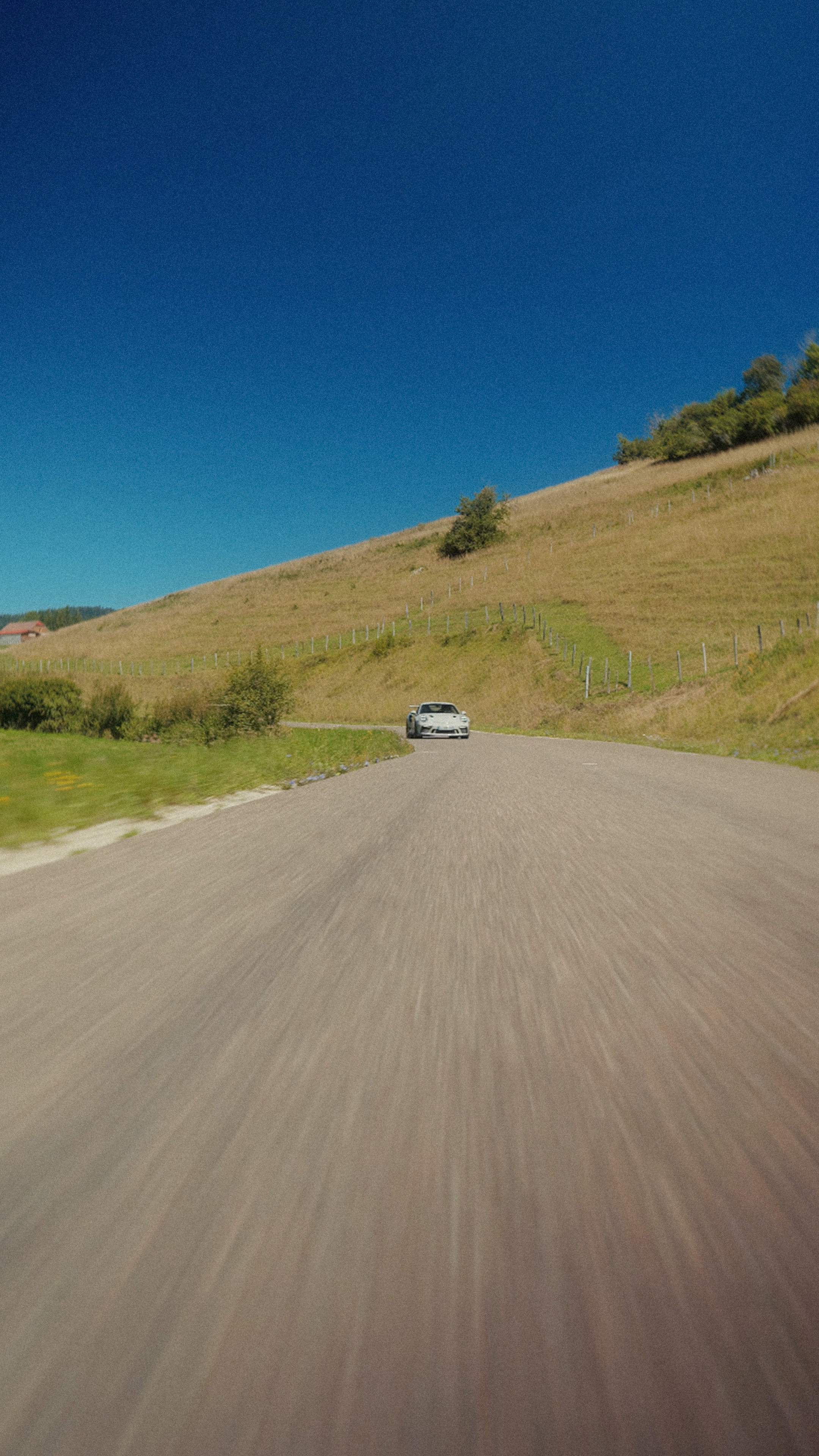 image of signature dishes (for a japanese restaurant)