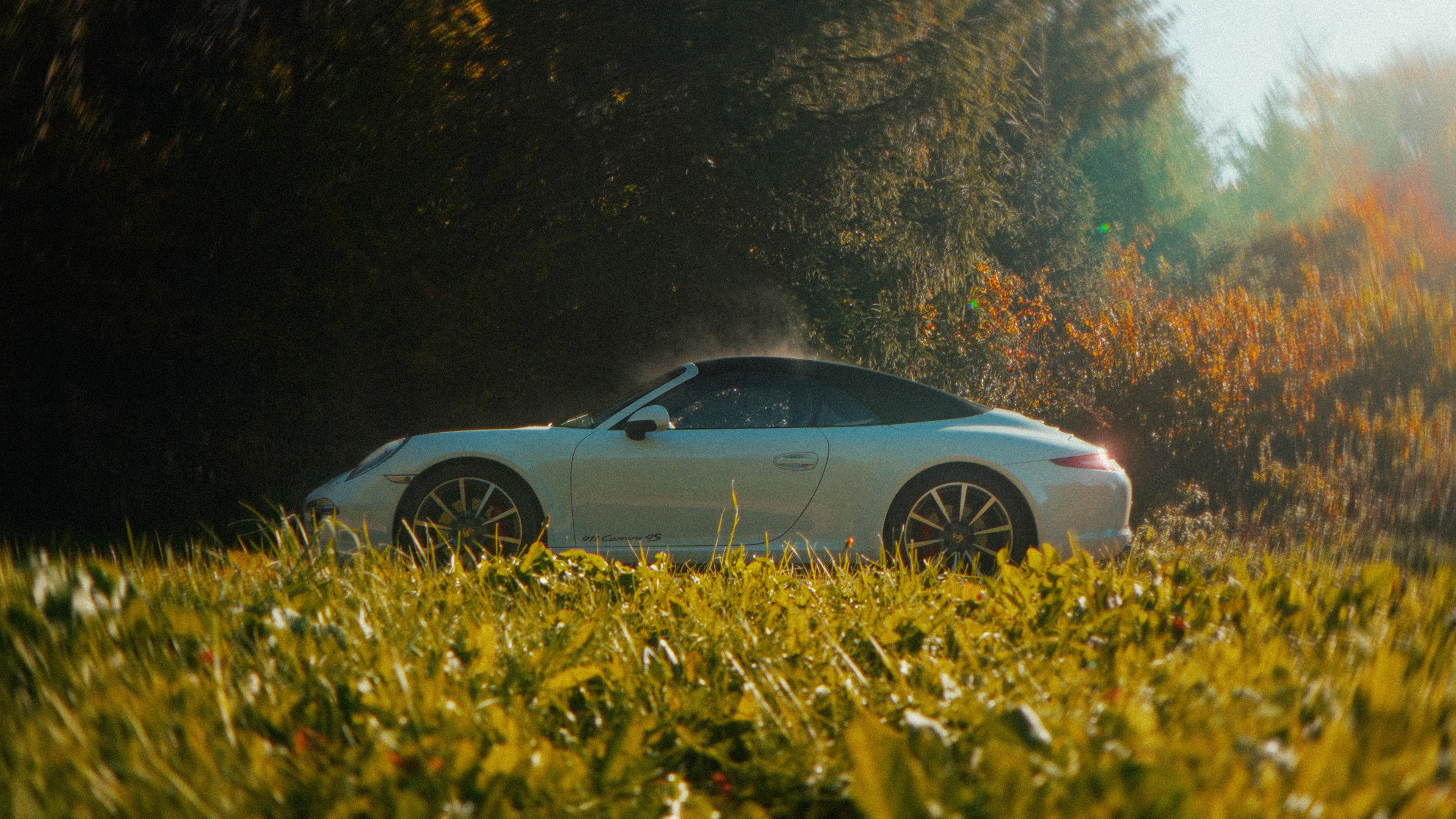image of signature dishes (for a japanese restaurant)