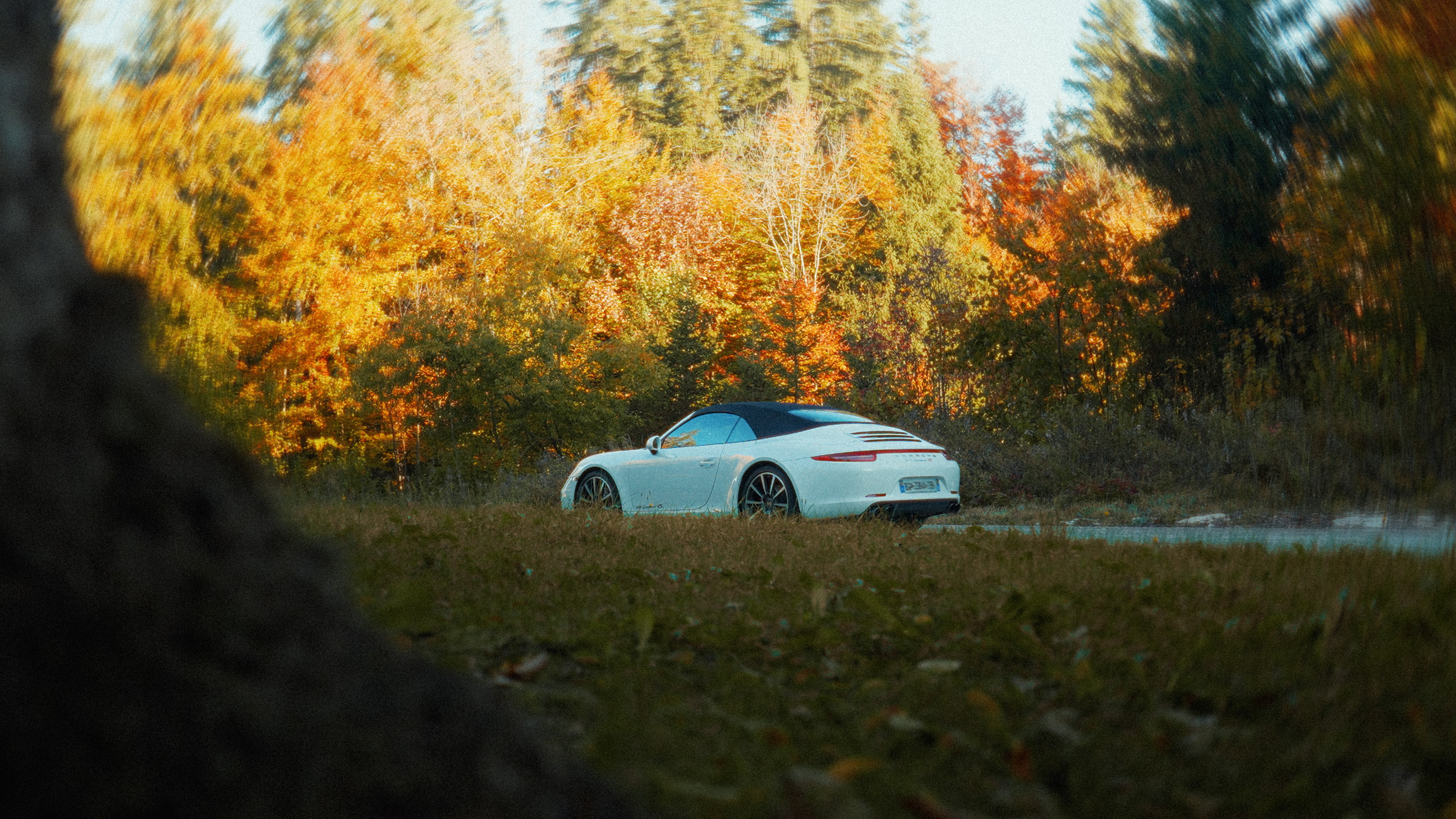 image of signature dishes (for a japanese restaurant)