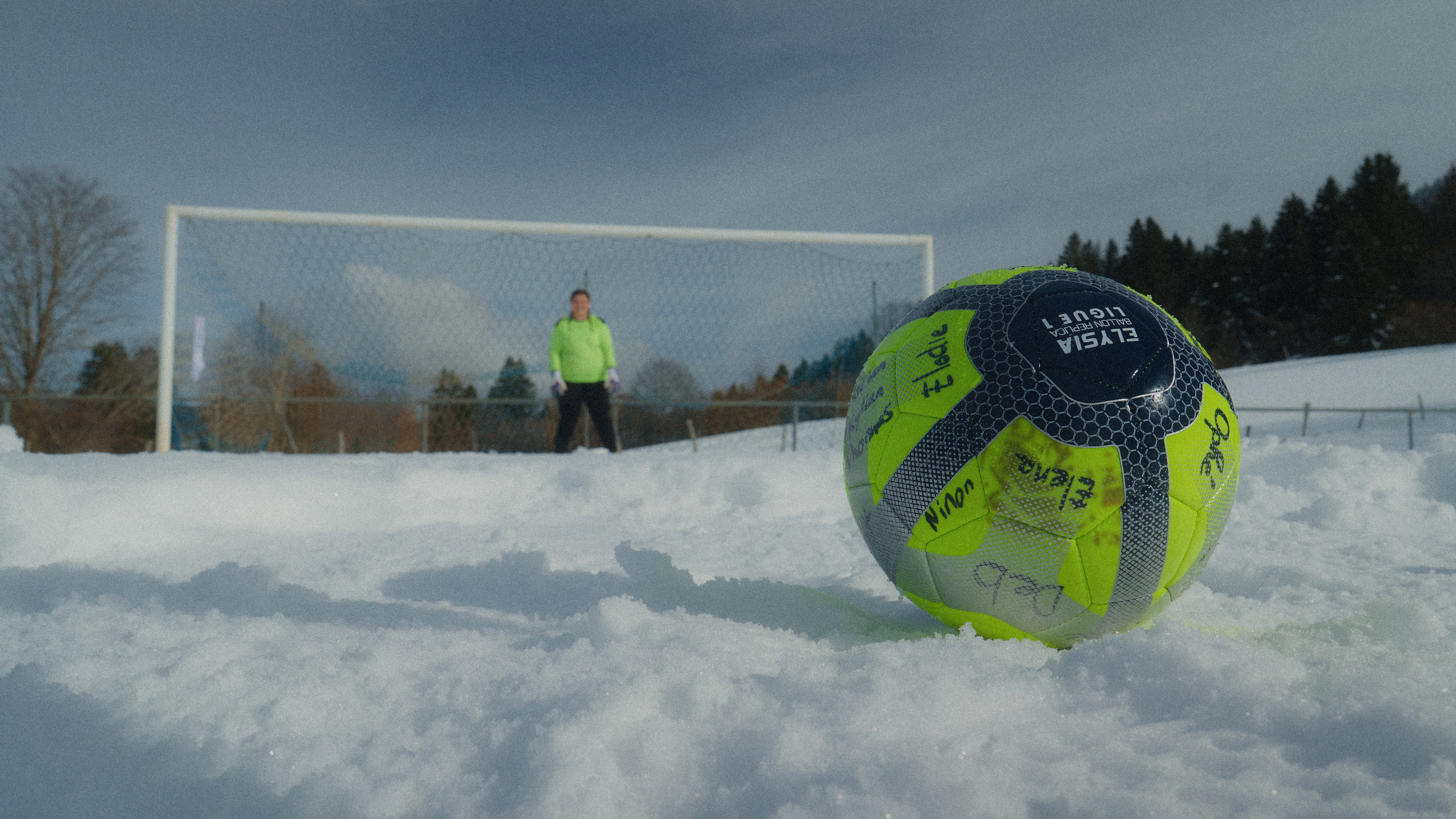 image of signature dishes (for a japanese restaurant)