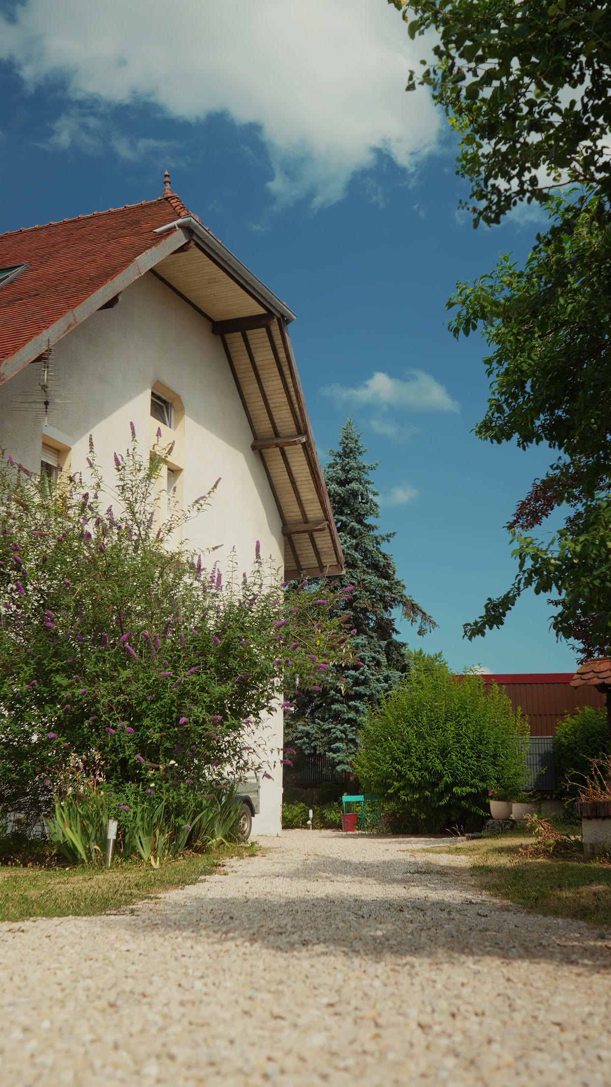 La maison vue du fond du jardin, sous les sapins