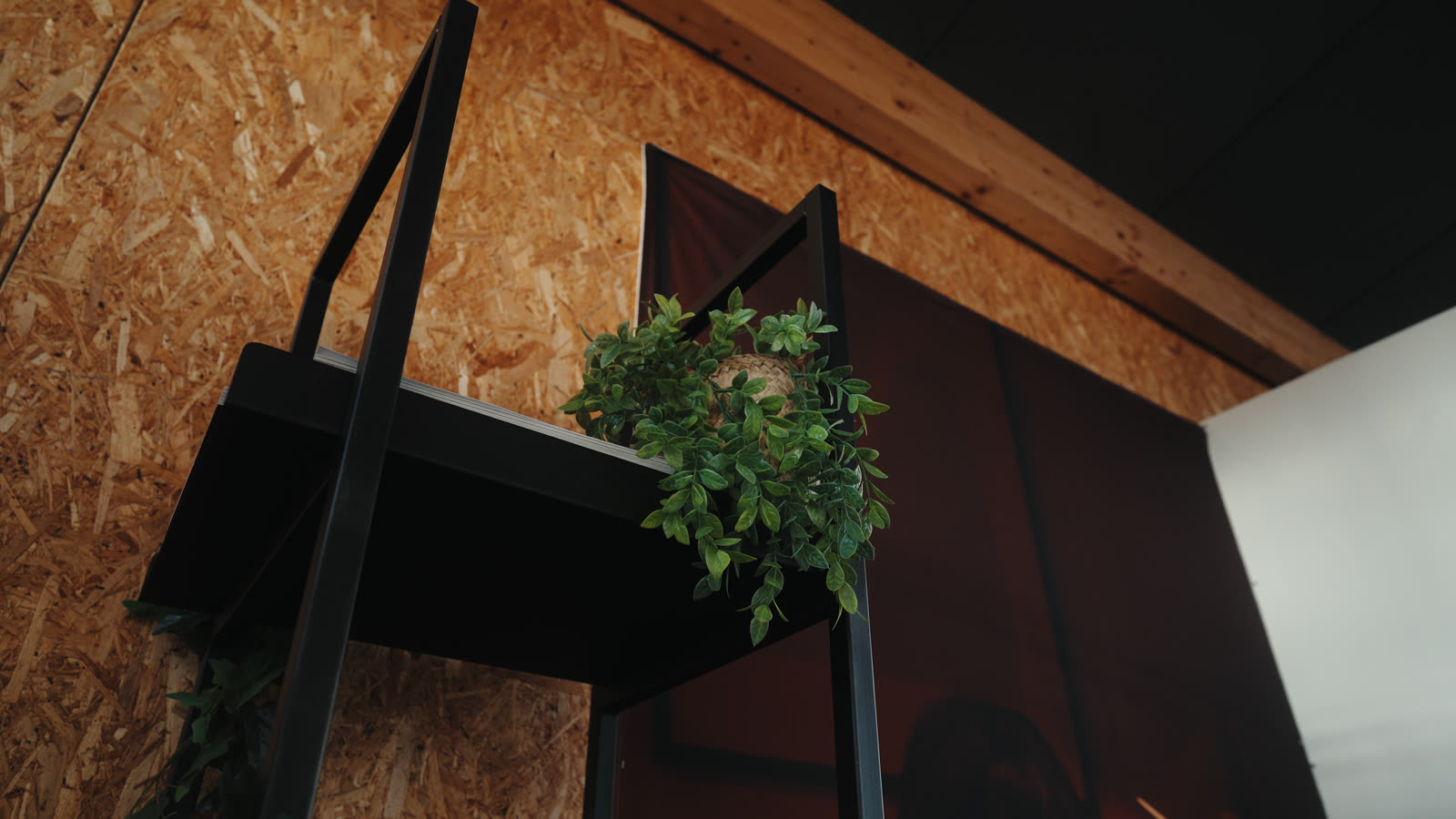 Une étagère de plantes contre le mur en bois