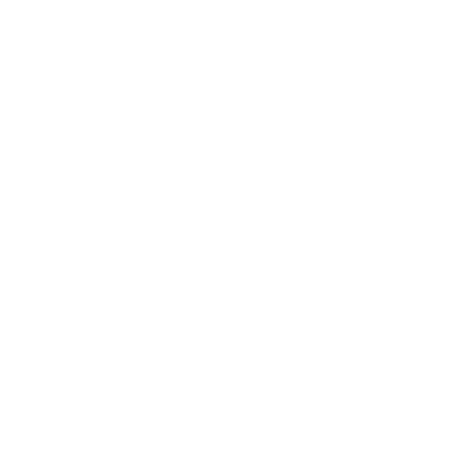 Logo Church & Dwight