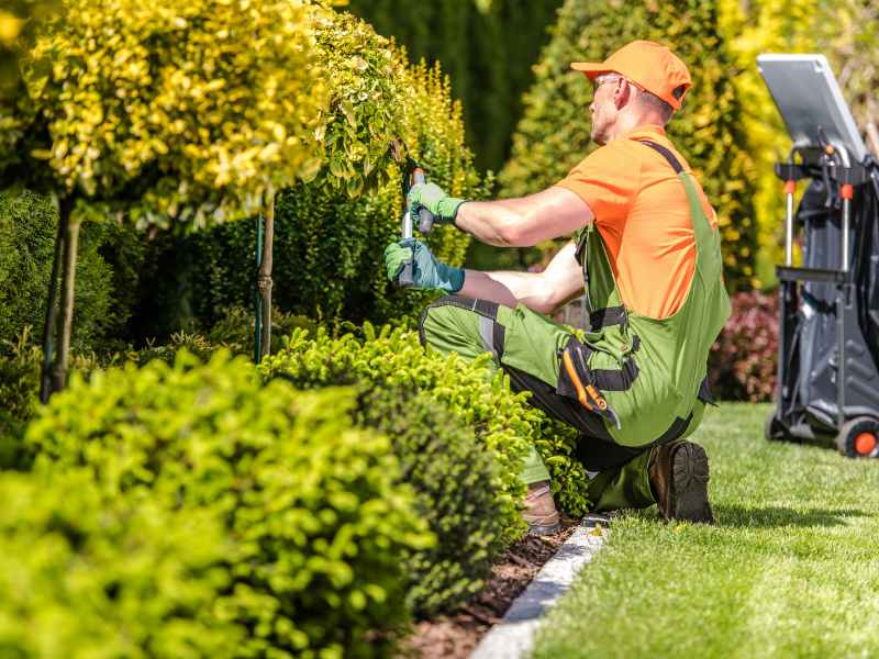 Landscaping crew servicing a self-storage facility exterior