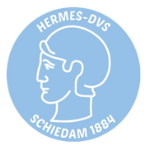 Hermes-DVS