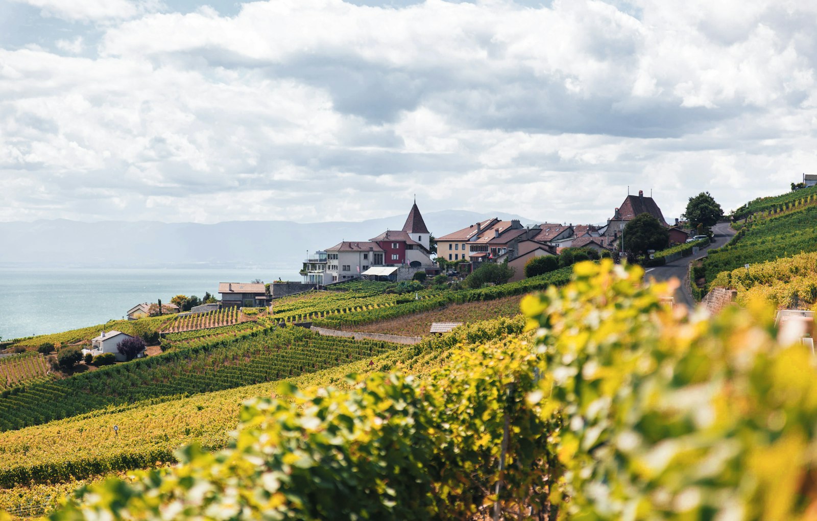 Village de Lavaux surplombant les vignobles et le lac Léman en Suisse Romande
