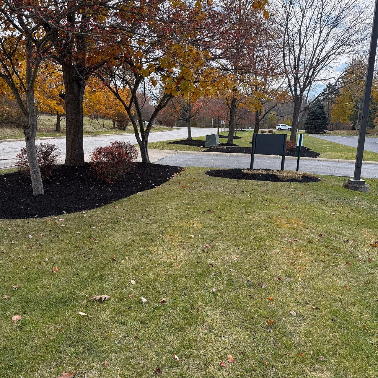 Full service landscape maintenance for HOA properties