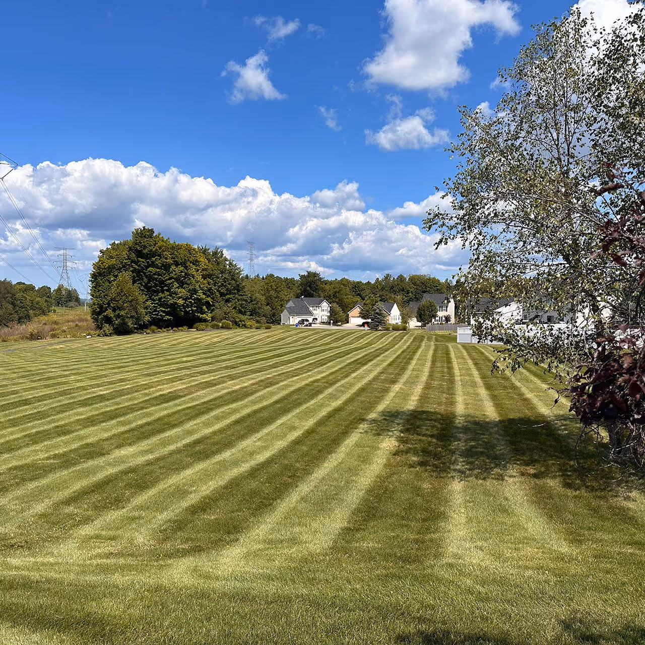 Freshly mowed HOA lawn near me 