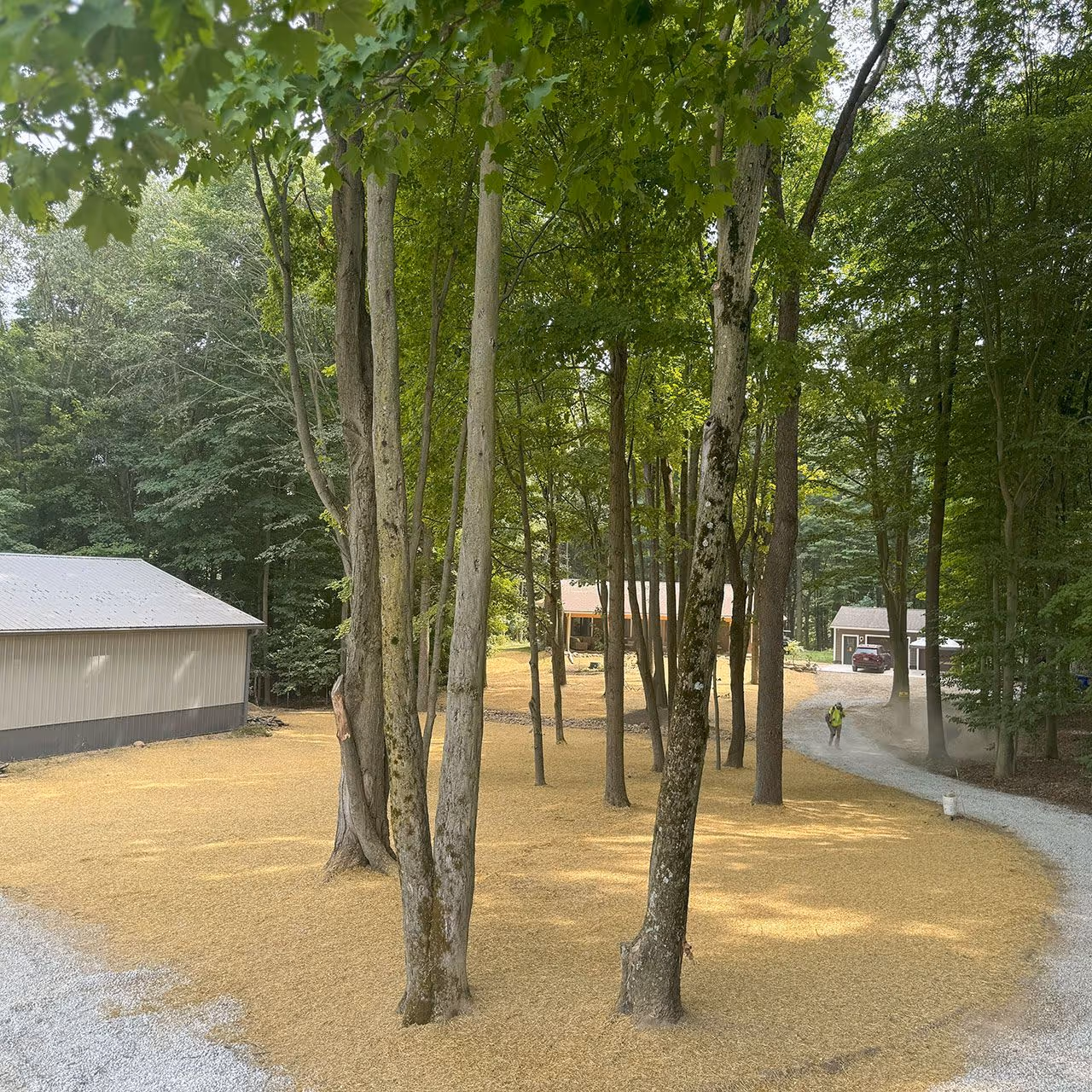 professional lawn installation near me 