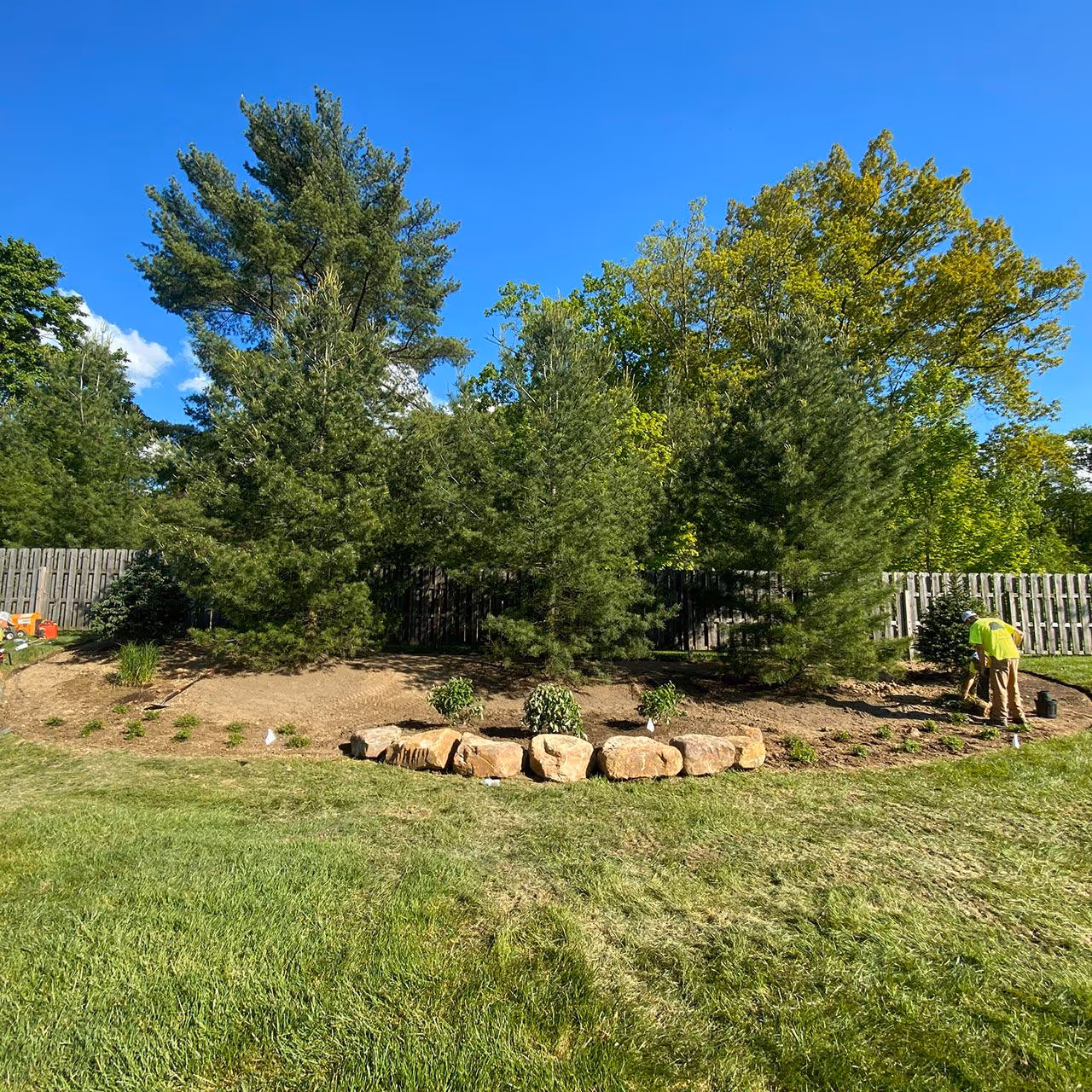 Professional hedge trimming by JJS Beautification Services