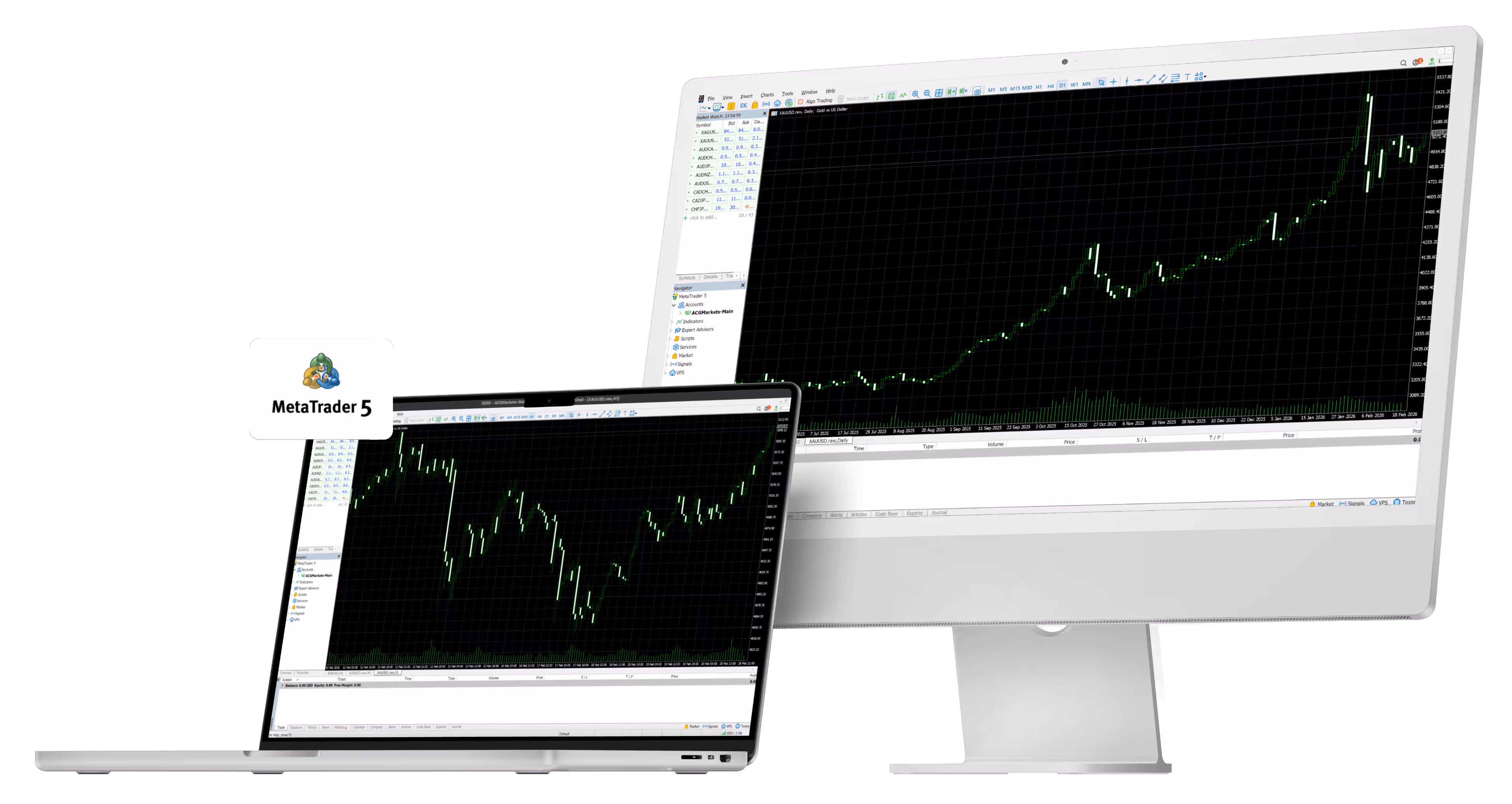 Meta Trader Screens Llaptop + Pc