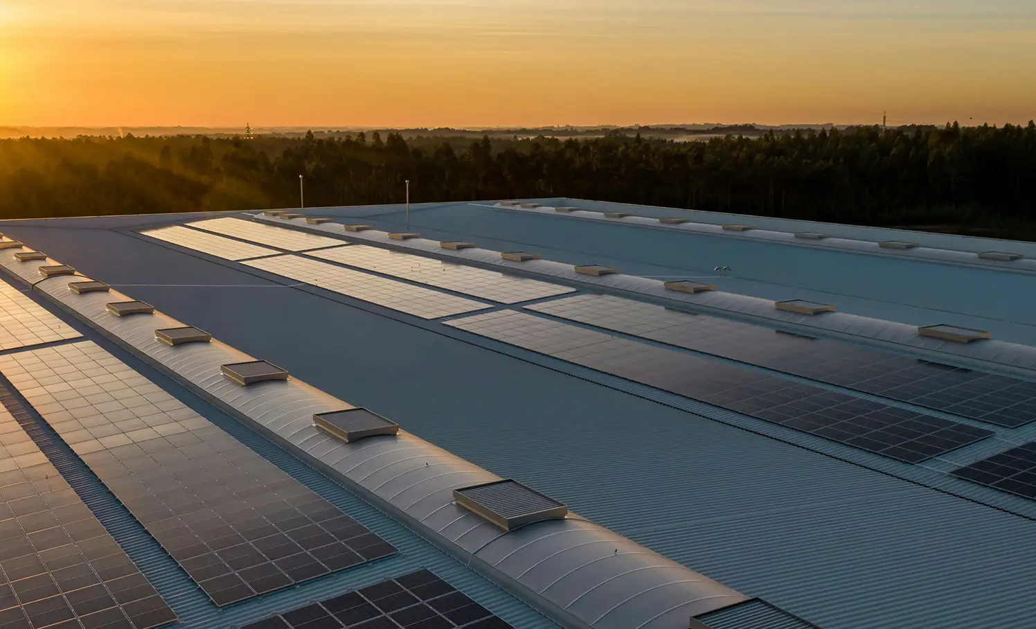 Pannelli solari installati sul tetto di un edificio industriale al tramonto con una foresta sullo sfondo.
