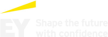 Partner finanziario EY progetti riqualificazione SPR - Studio Progetto Realizzo