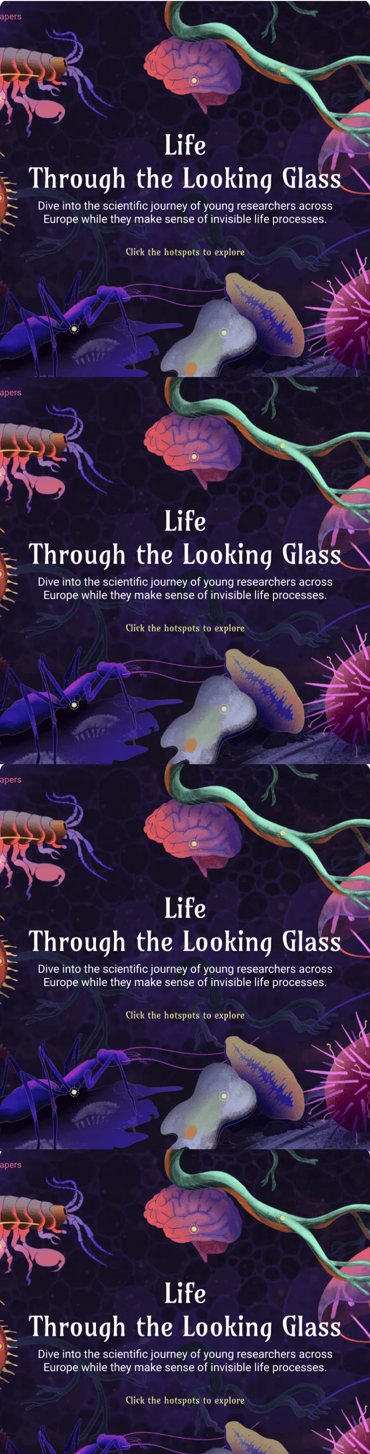 Interactive experience development for a campaign