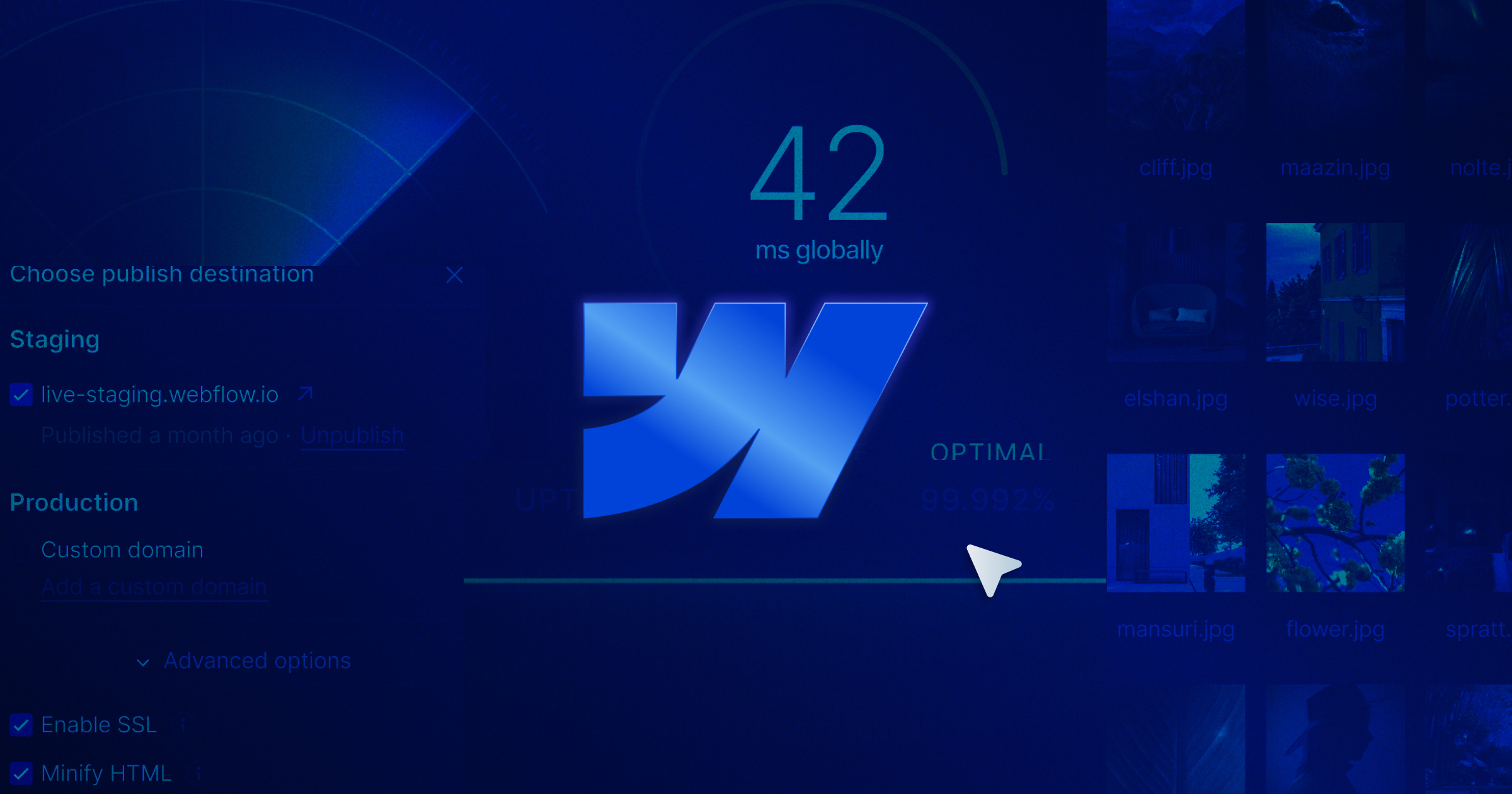 Does Webflow Provide Hosting Plans? + Learn How to Connect Your Host to Webflow