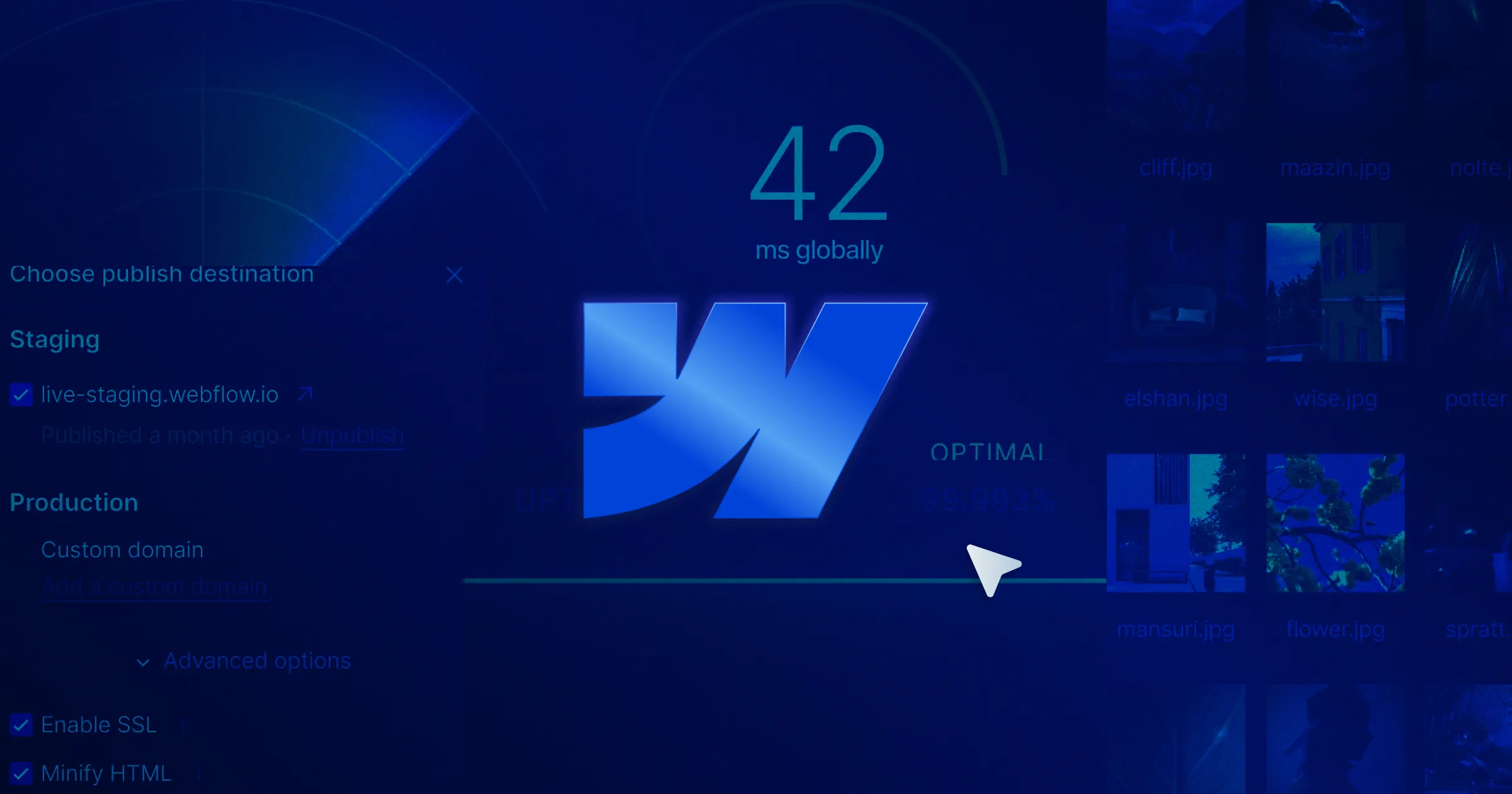 Does Webflow Provide Hosting Plans? + Learn How to Connect Your Host to Webflow