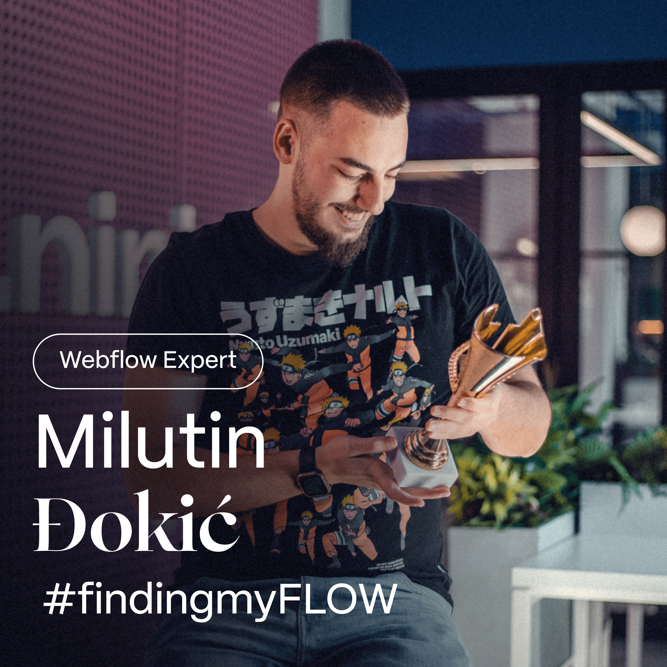 Milutin's Adventure: Surveying the Land, Designing the Web