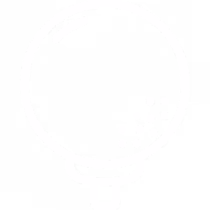 an icon of a golf ball