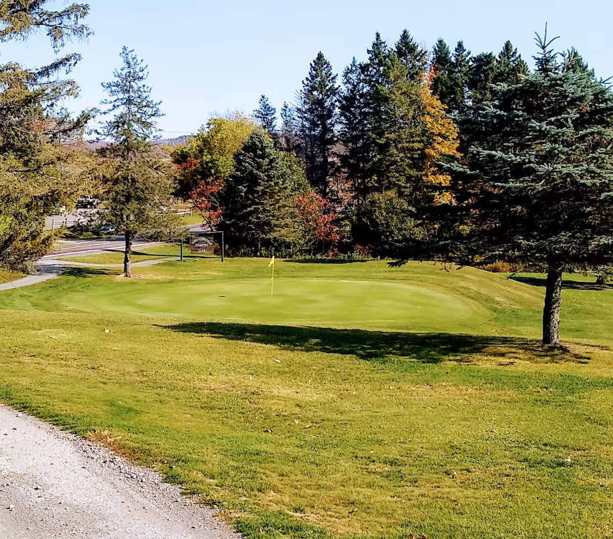 A green golf course with a tree in the foreground.