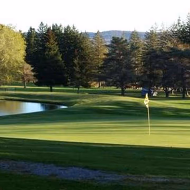 A green golf course with a tree in the foreground.