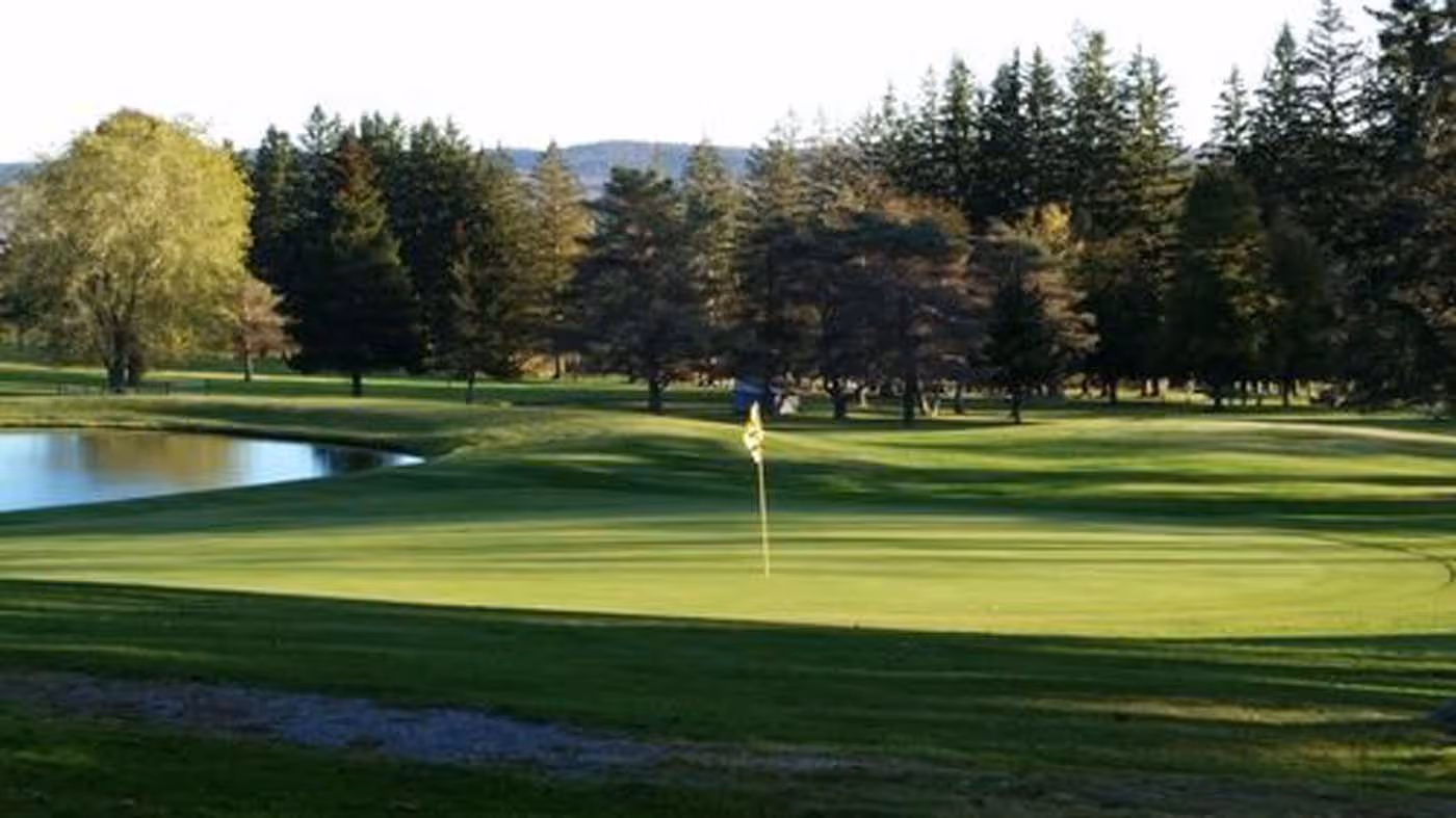 A green golf course with a tree in the foreground.