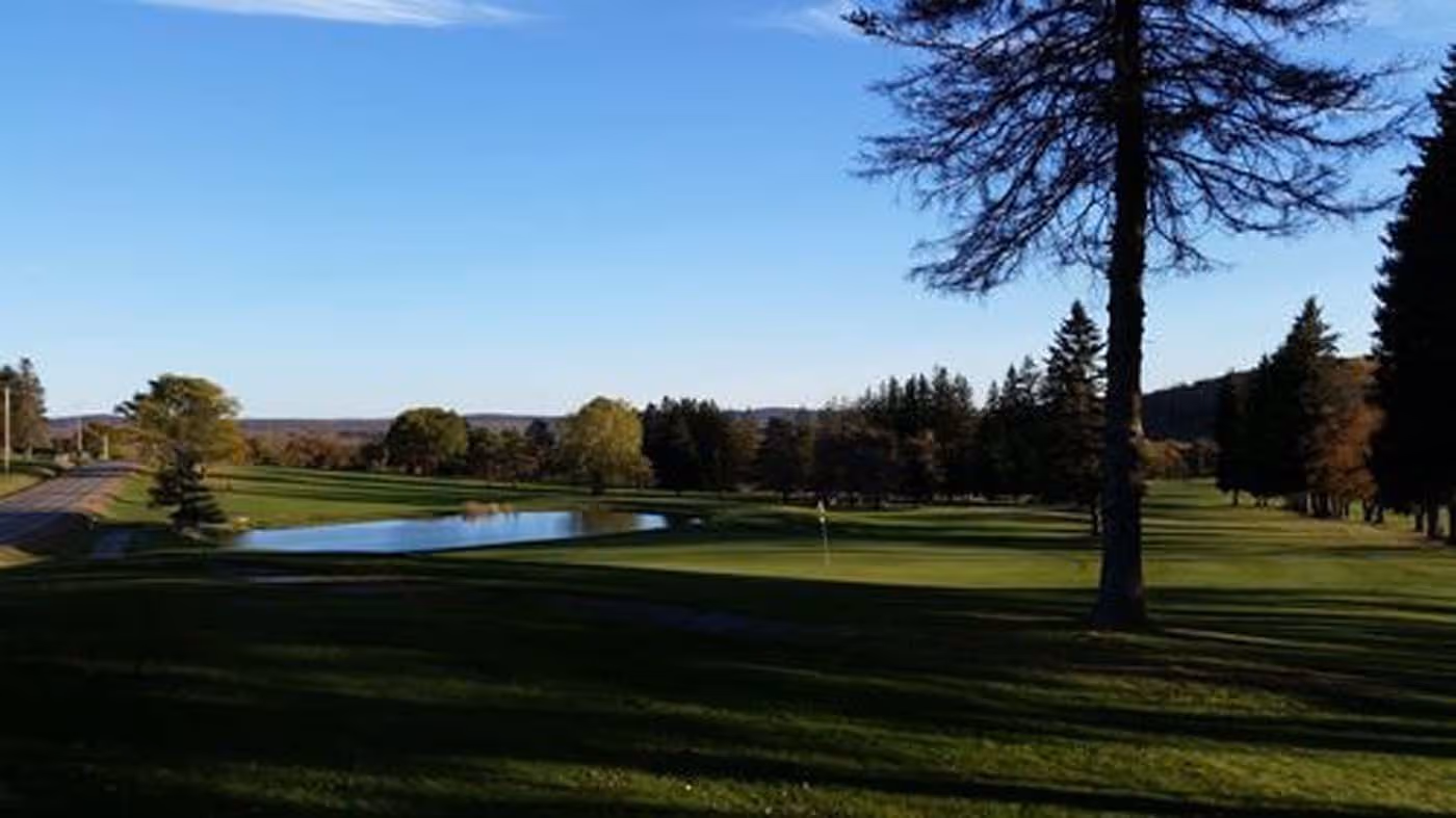 A green golf course with a tree in the foreground.