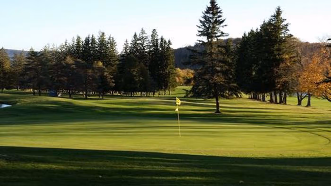A green golf course with a tree in the foreground.