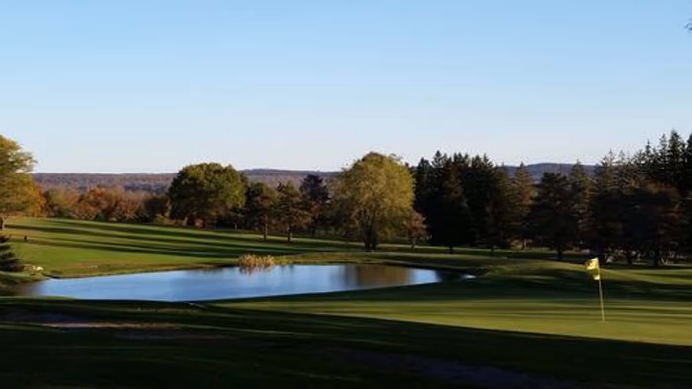A green golf course with a tree in the foreground.
