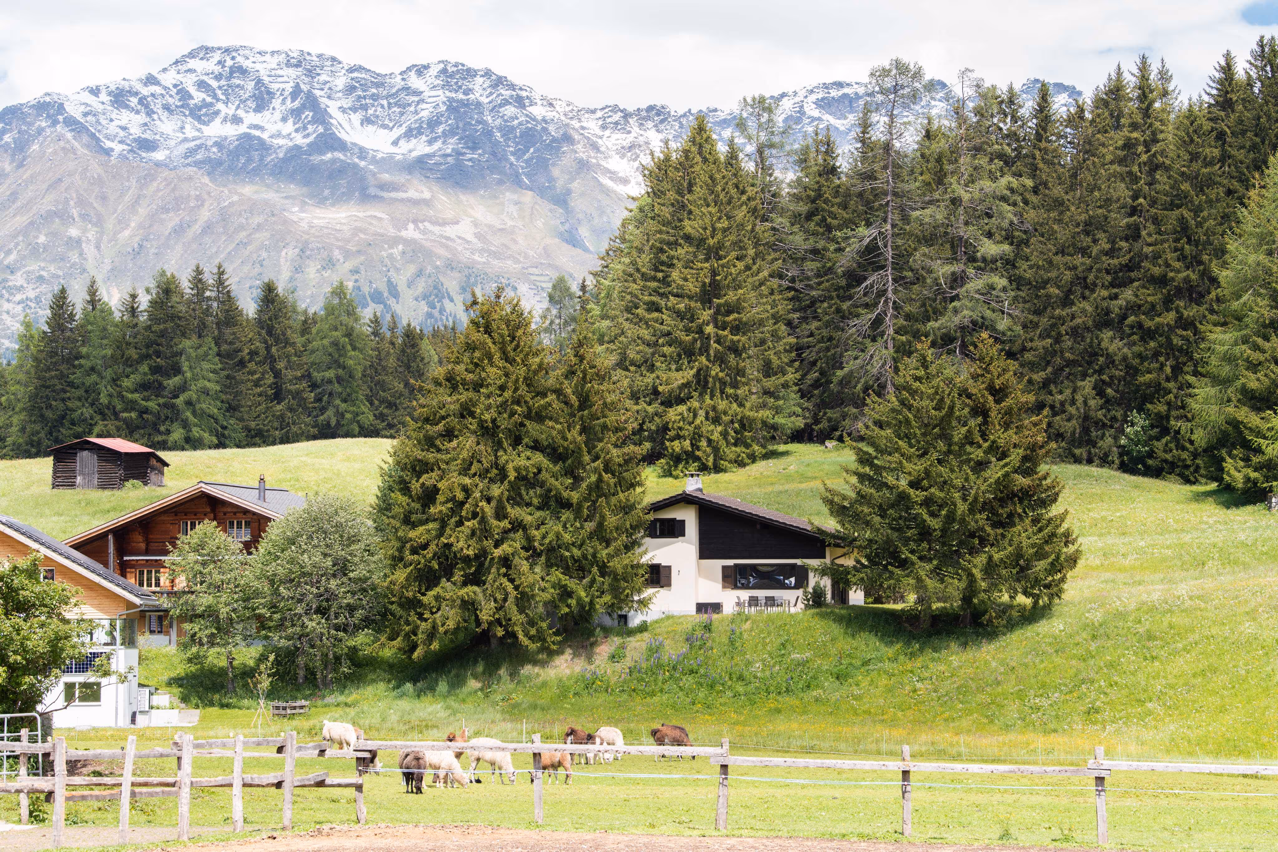 Ferienhaus Chalet Laret in Davos