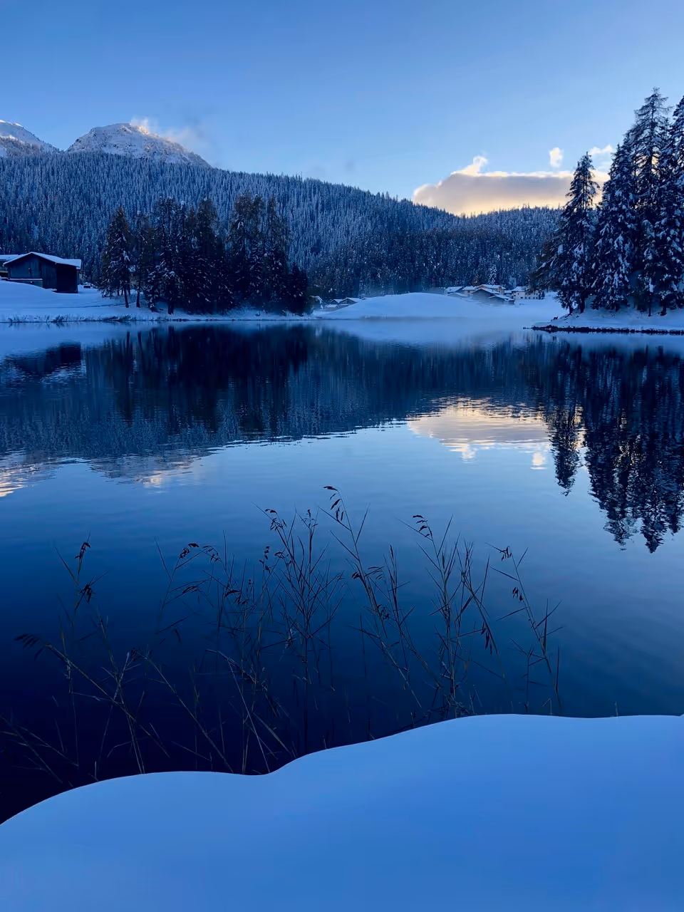 Umgebung Ferienhaus Chalet Laret in Davos