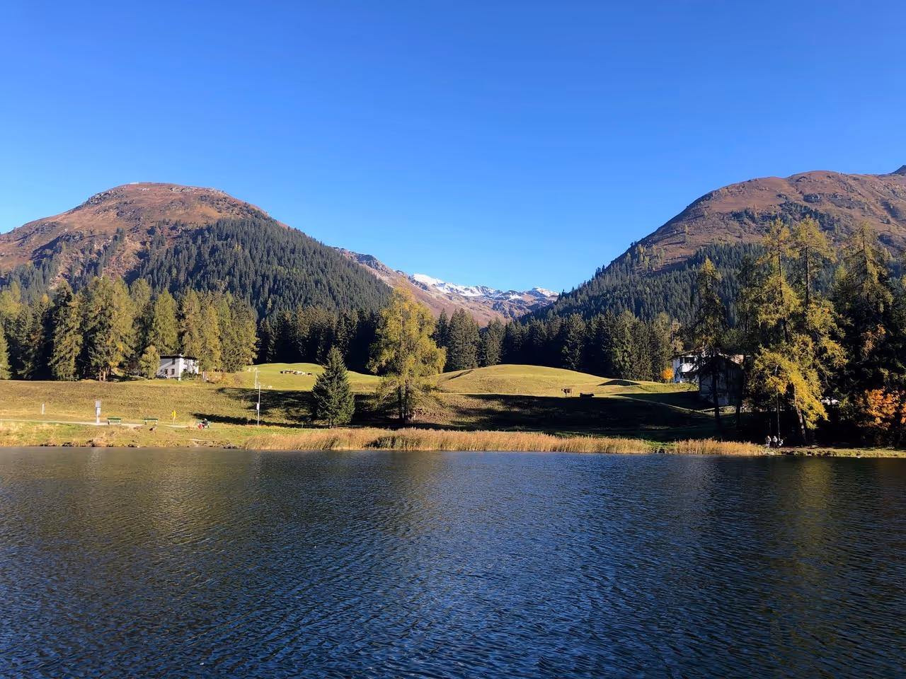 Umgebung Ferienhaus Chalet Laret in Davos