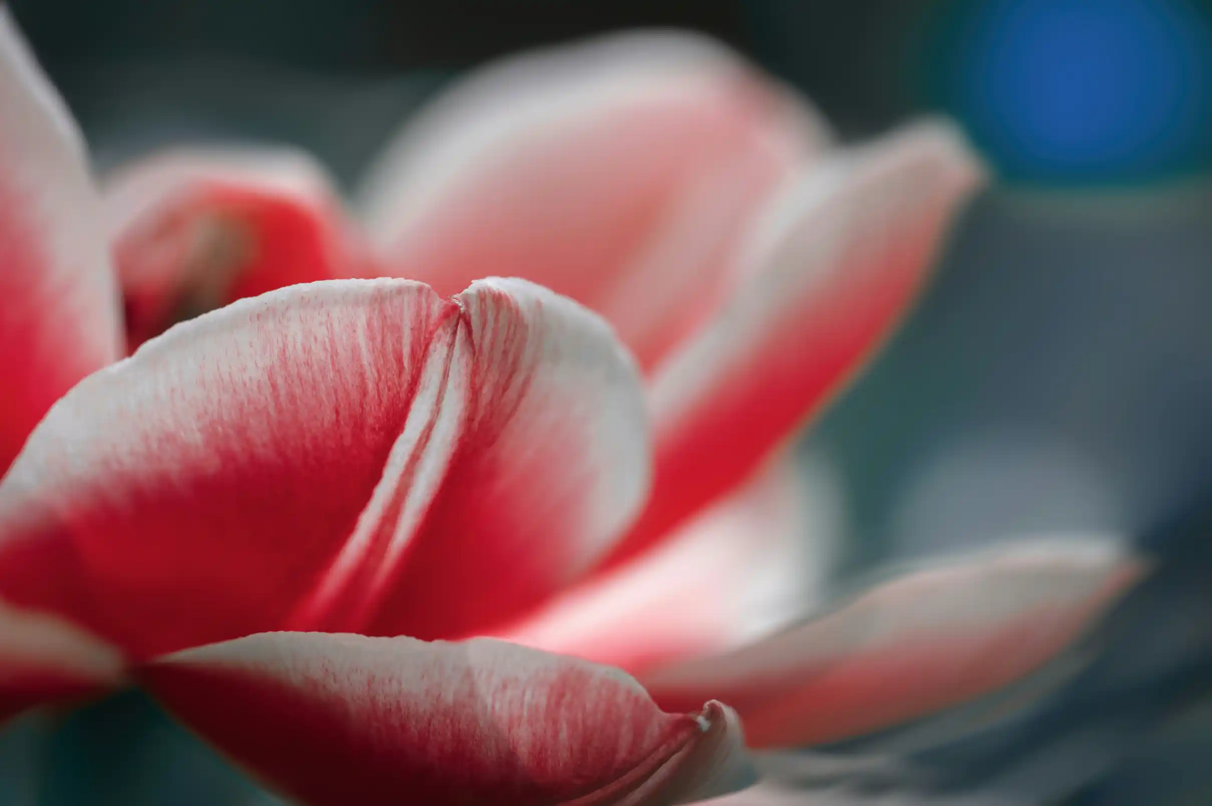 Website Conversion Analysis: A Complete Guide to Optimization