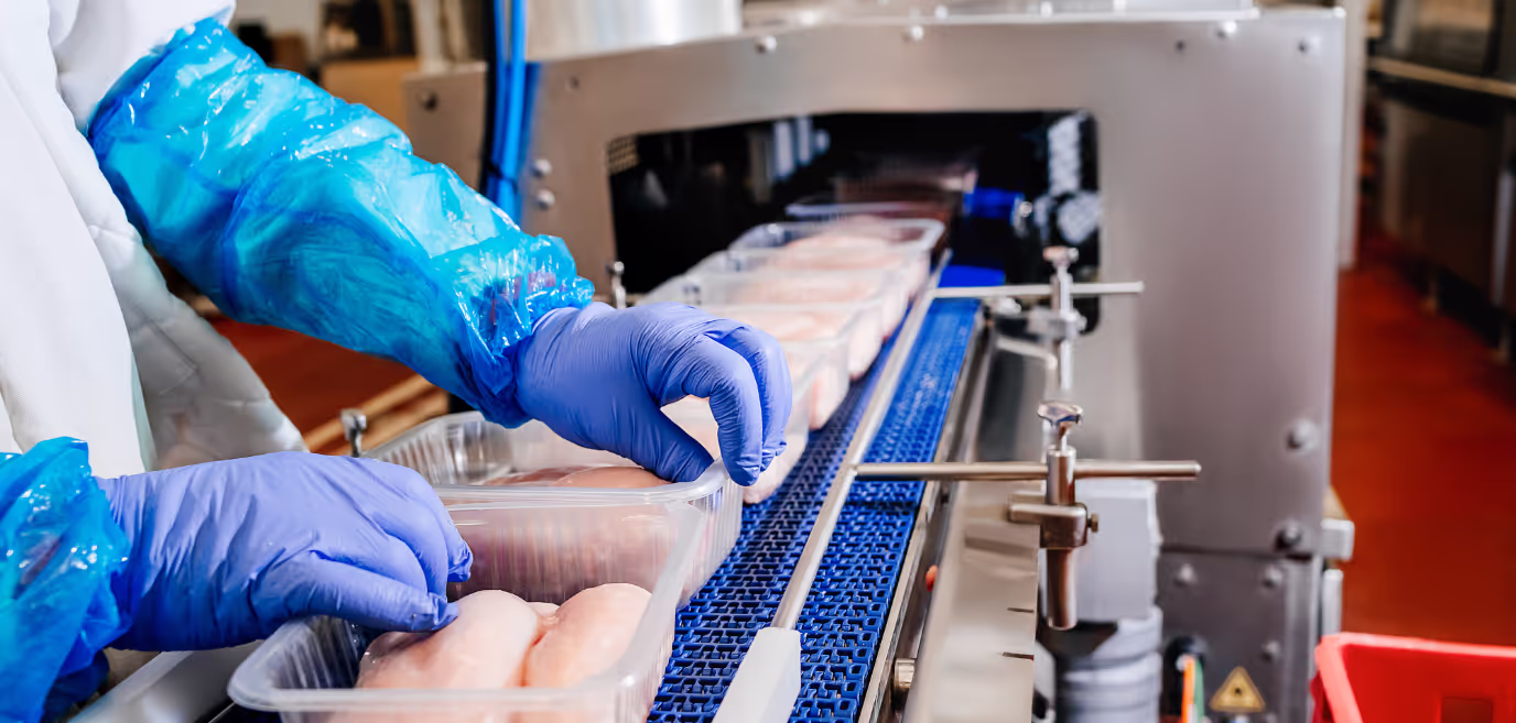 Close-up of hands placing chicken in packages on an assembly line